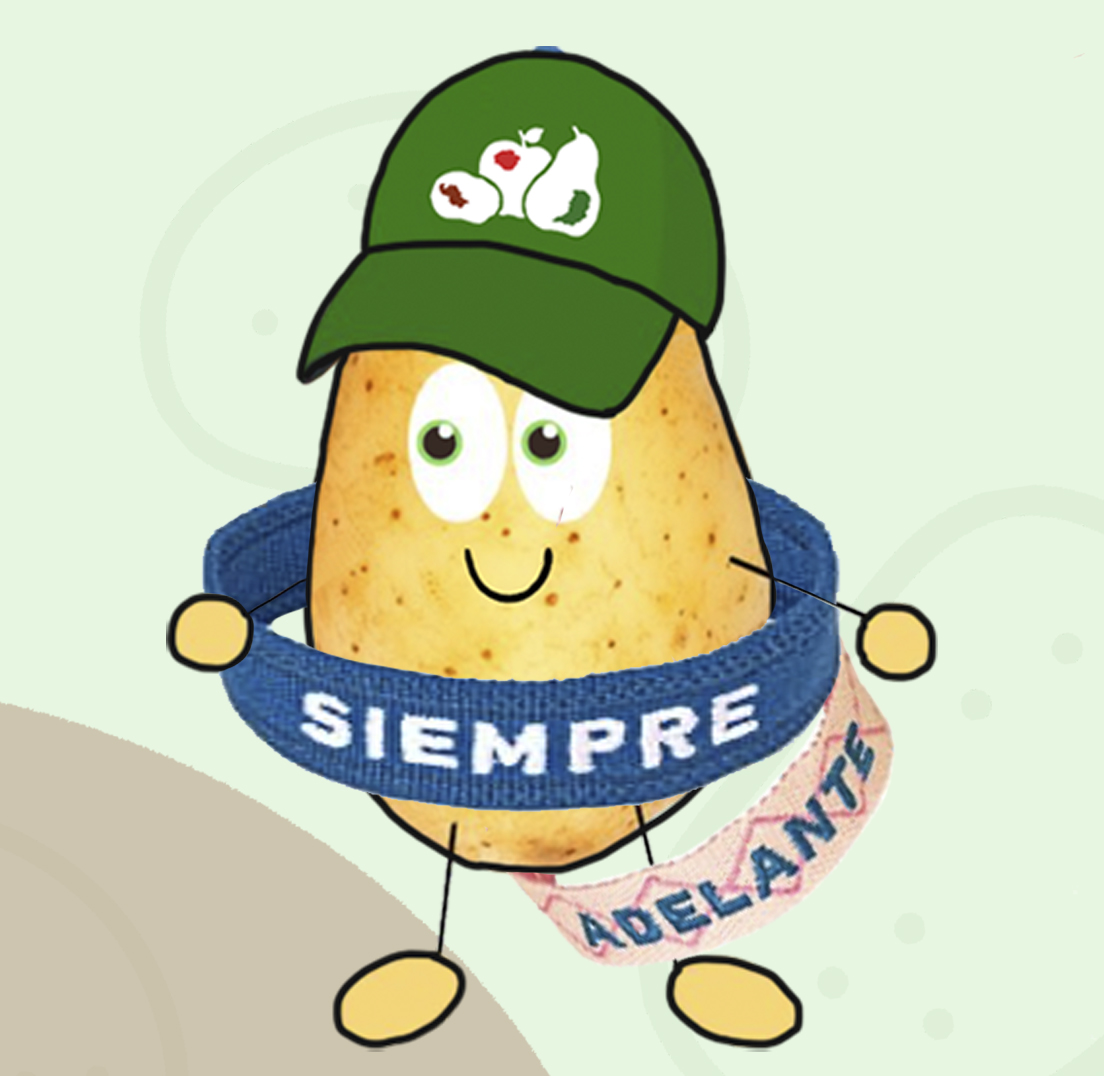 Tienda solidaria de la Asociación Española contra el Cáncer