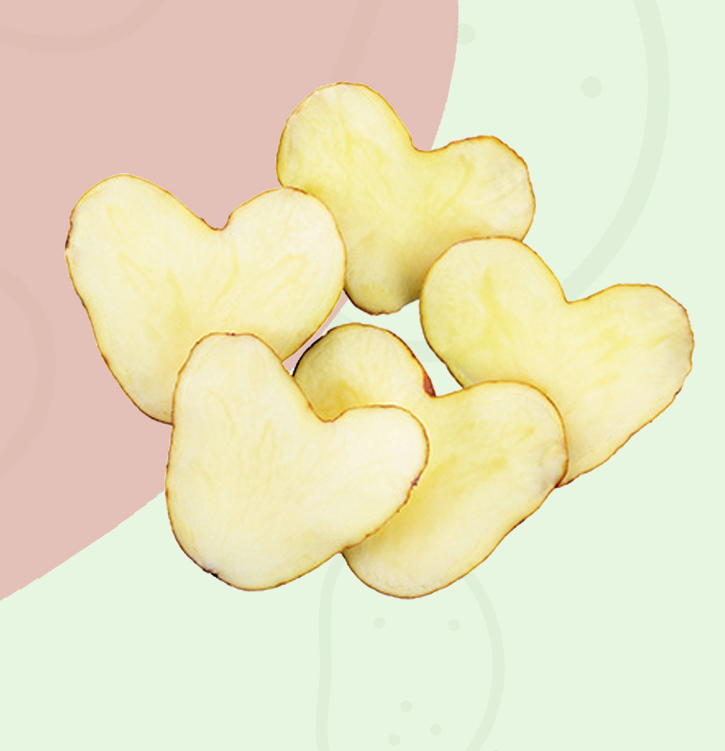 Día Mundial de la Salud