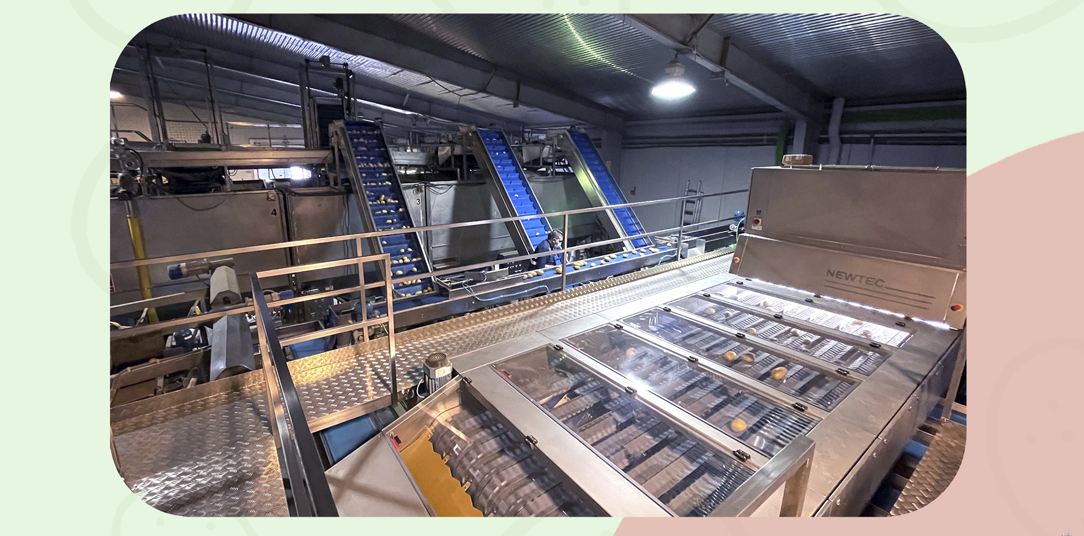 sistema de clasificación óptico de patatas