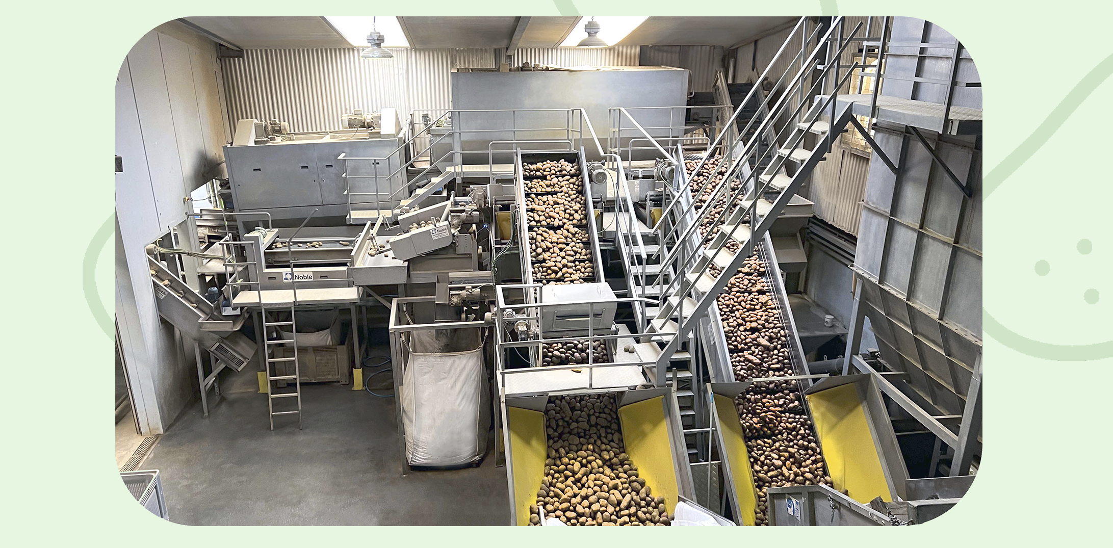 Cepillado de patatas