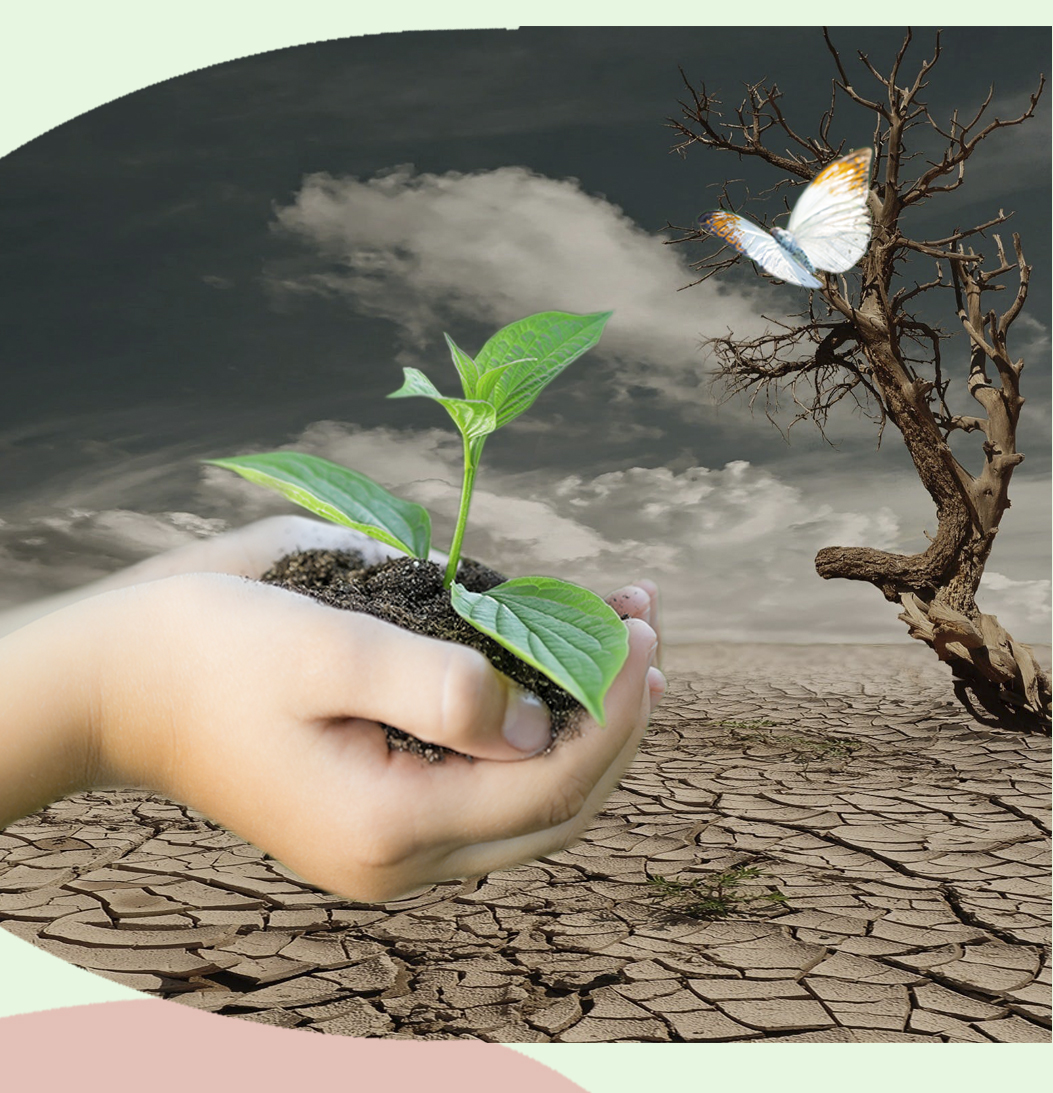 Día internacional contra el cambio climático